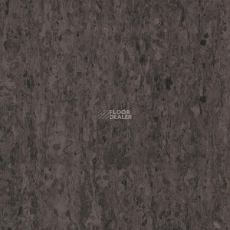 Tarkett iq Optima DARK BROWN 0900 фото 1 | FLOORDEALER